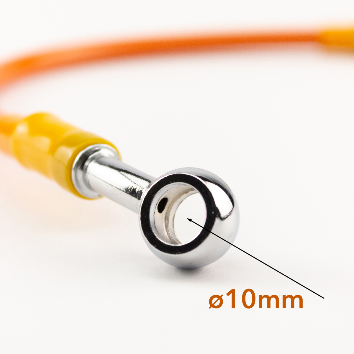 IMG_2559_ копия