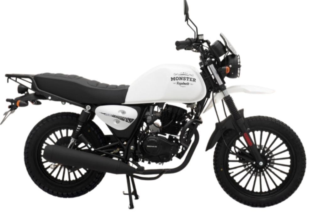 regulmoto-monster-s-pts-2.1740382024