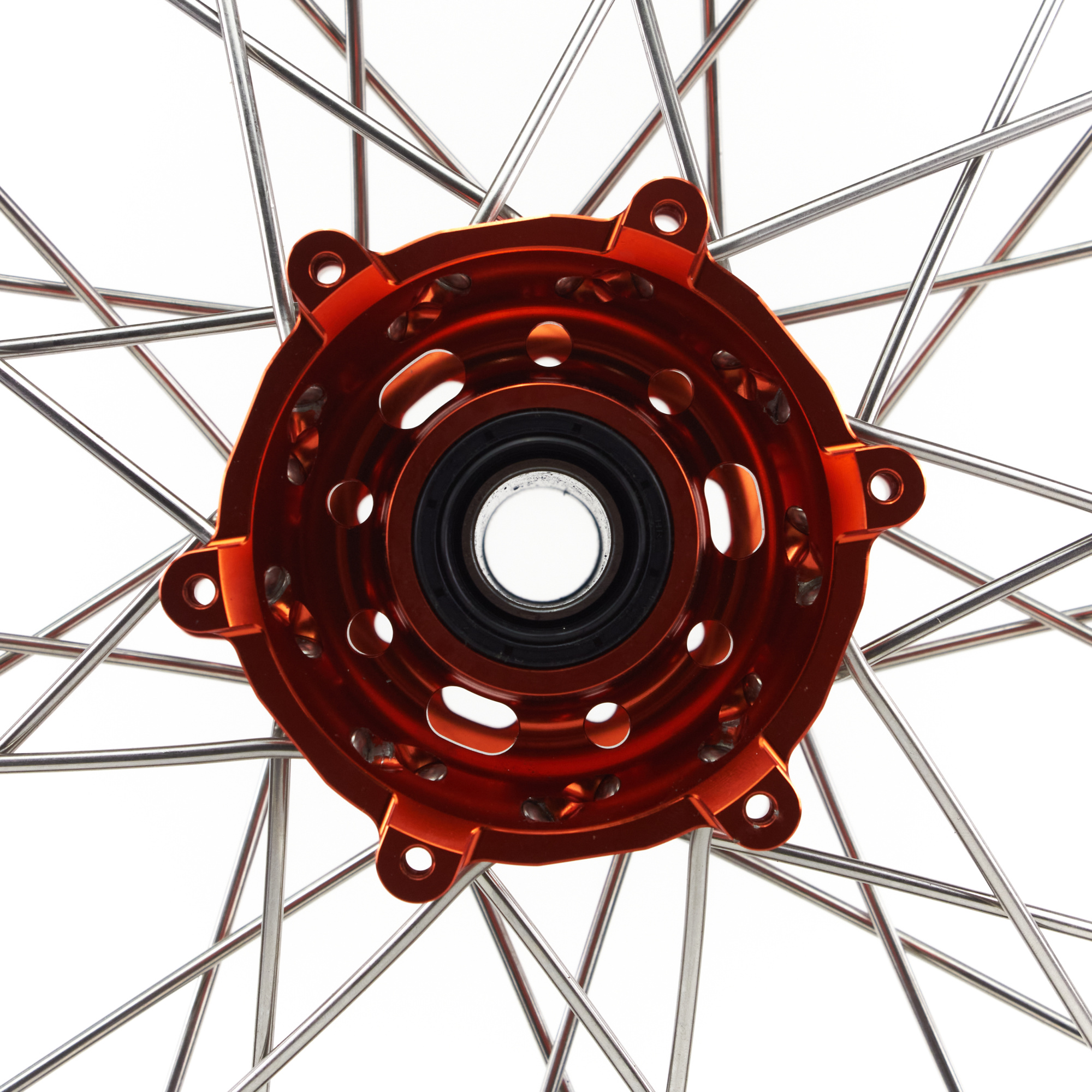 f13000256 (1)